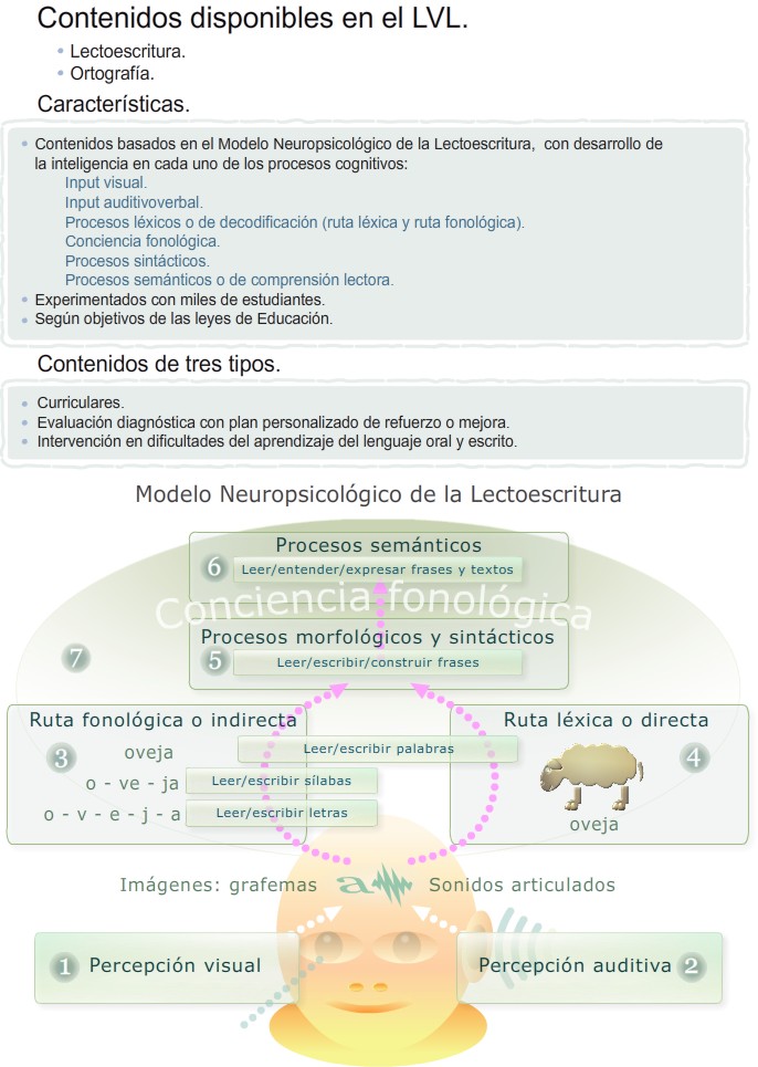 Contenidos del LVL