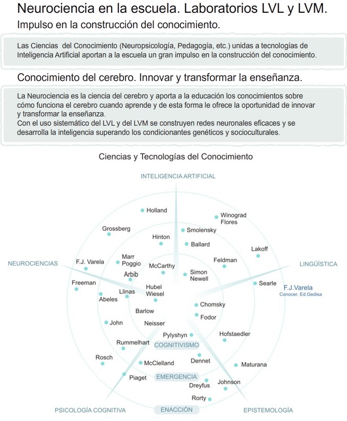 Neurociencia en la escuela